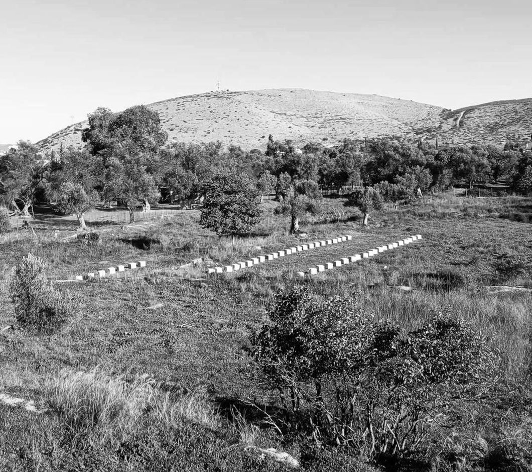 Genevia Honey Κυψέλες